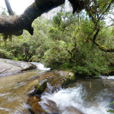 Cachoeira da Galharada Campos do Jordão SP