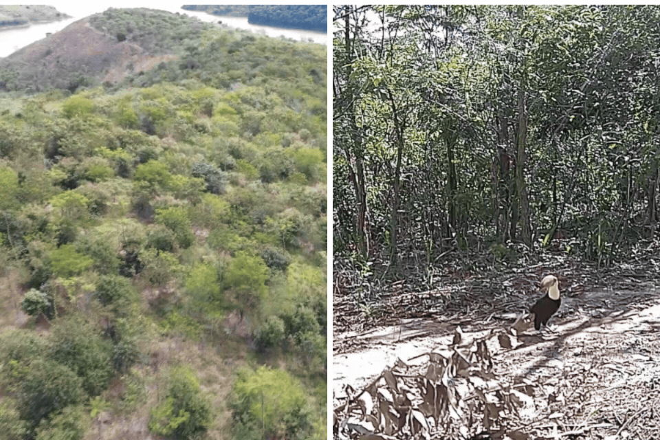 foto Not&iacute;cia Campos do Jordão