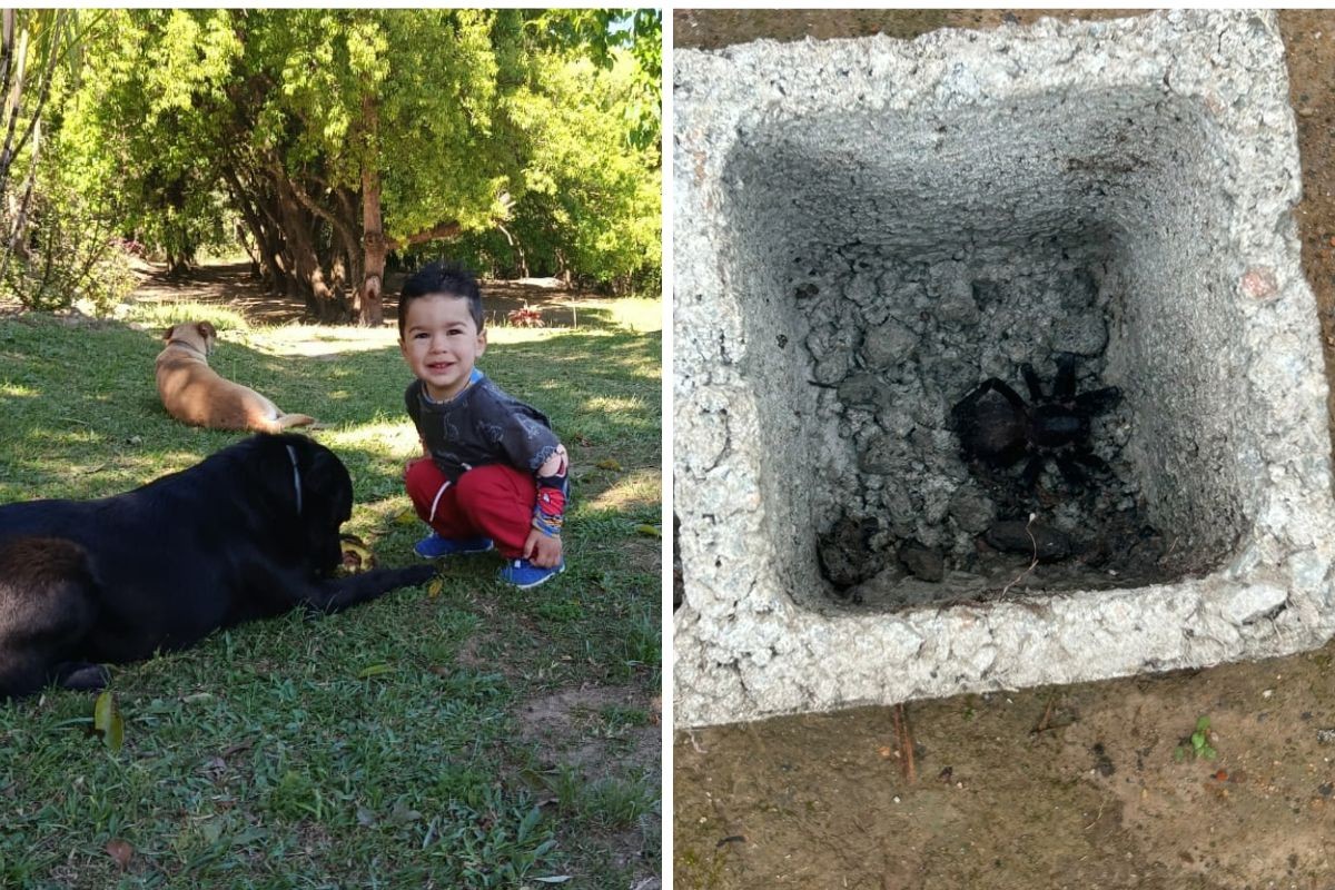 foto Not&iacute;cia Campos do Jordão